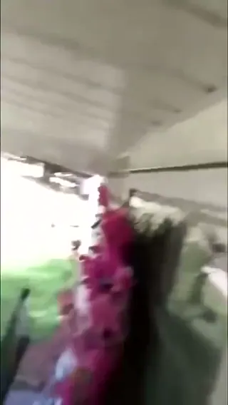 Maja a méhecske halála