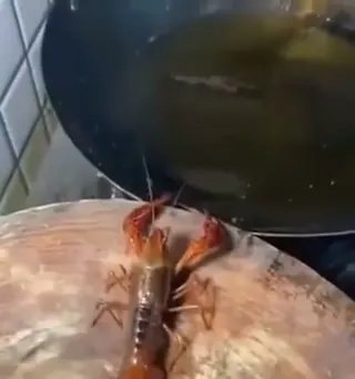 Öngyilkos