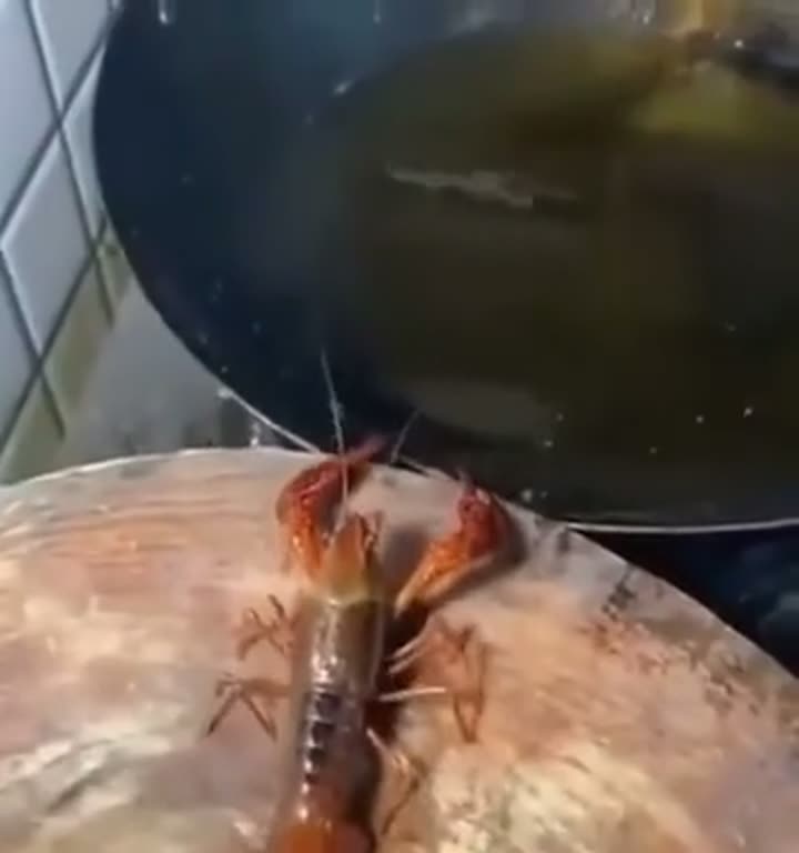 Öngyilkos