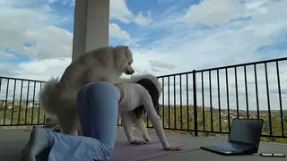Kutyusok